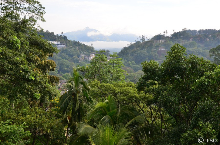 Umgebung von Kandy