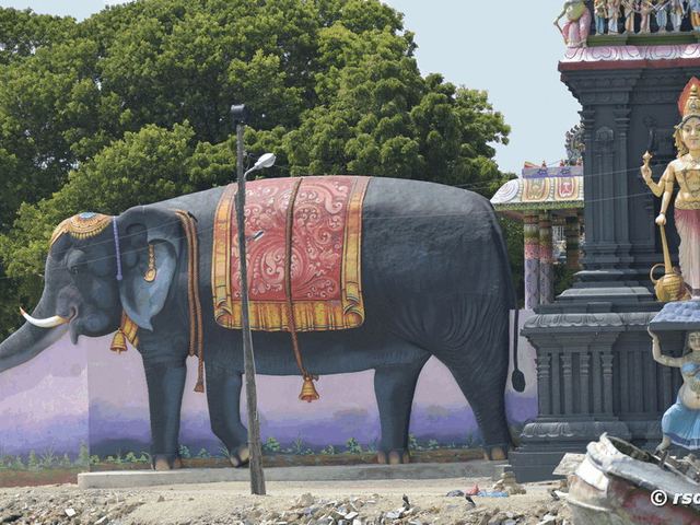 Elefant vor Hindutempel in Nagadeepa