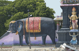 Elefant vor Hindutempel in Nagadeepa