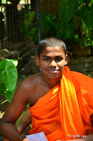 Mönch in Colombo
