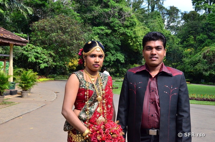 Brautpaar singalesisch