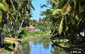 Zimtkanal in Negombo