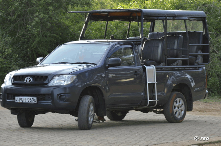 Safarifahrzeug Toyota Deluxe im Bundala Nationalpark