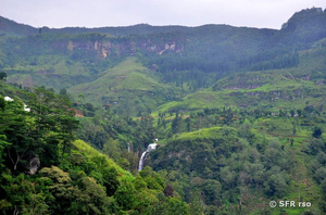 Zentral Sri Lanka, Wasserfall