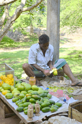 Mangoverkäufer