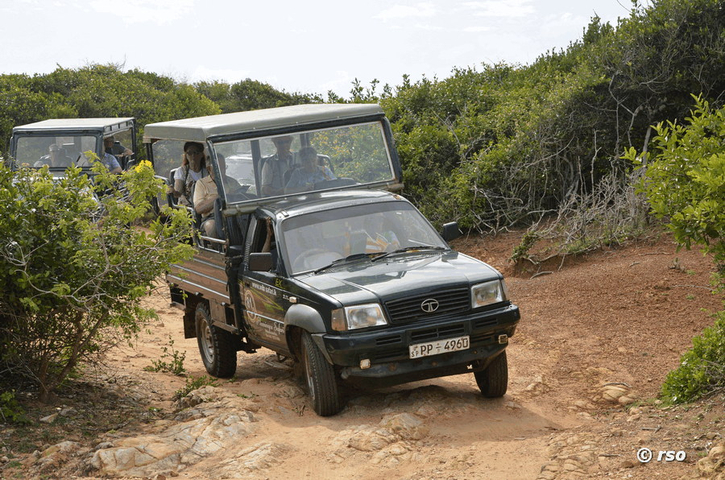Jeep Safari im Nationalpark Bundala