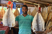 Trockenfischverkäufer