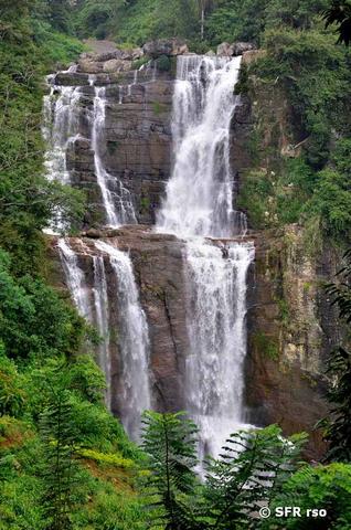 Wasserfall auf Sri Lanka