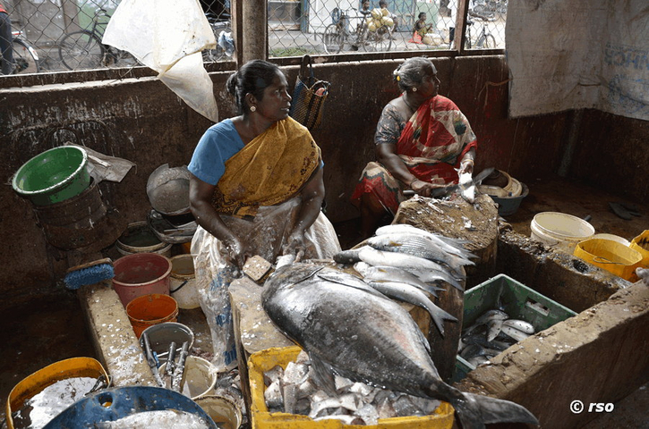 Fischmarkt in Jaffna