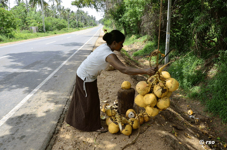 Kokosnussverkäufer