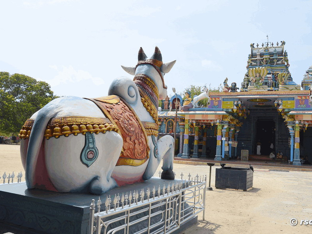 Nandi Hindutempel in Nagadeepa