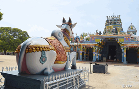 Nandi Hindutempel in Nagadeepa