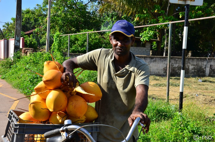 Kokosverkäufer