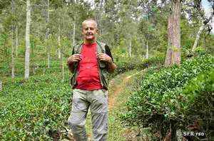 Ralph Sommer auf einer Teeplantage