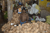 Kokosverkäufer
