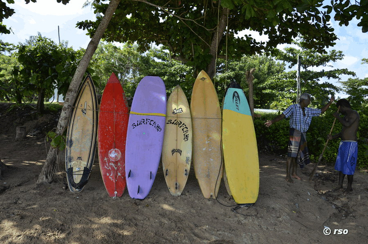 Surfbrette Sri Lanka