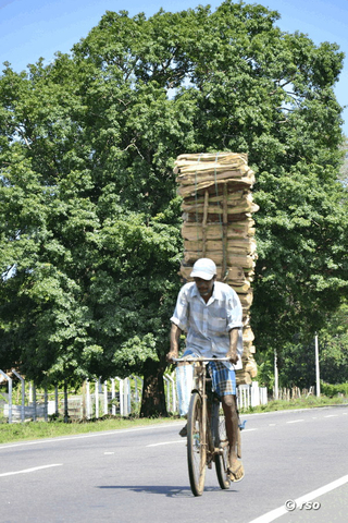 Radfahrer beladen mit Holz