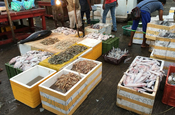 Fischmarkt in Bentota