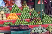 Avocado, Chirimoya, Guanabanas