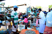 Fischmarkt Negombo