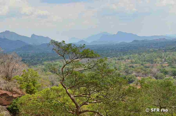Landschaft auf Sri Lanka