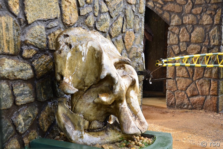 Elefantenschädel am Eingangstor im Nationalpark Yala